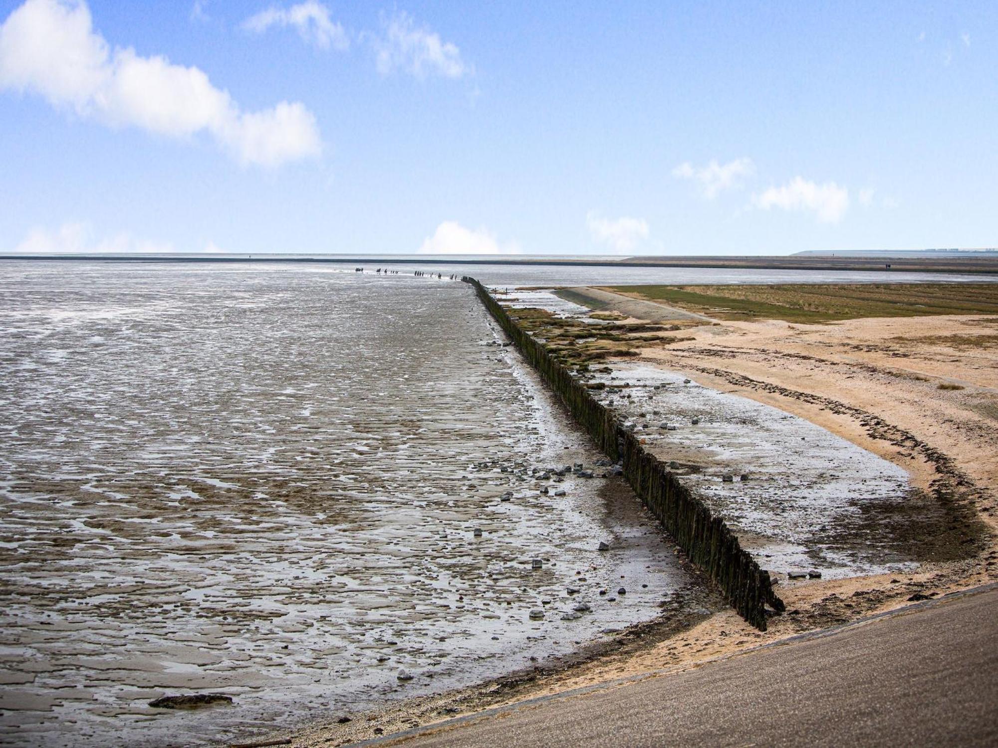 Fantastic Luxury Vacation Home And Next To The Wadden Sea Paesens Zewnętrze zdjęcie