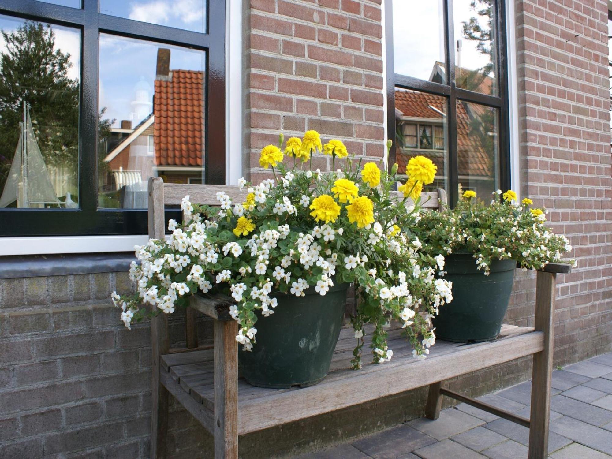 Fantastic Luxury Vacation Home And Next To The Wadden Sea Paesens Zewnętrze zdjęcie