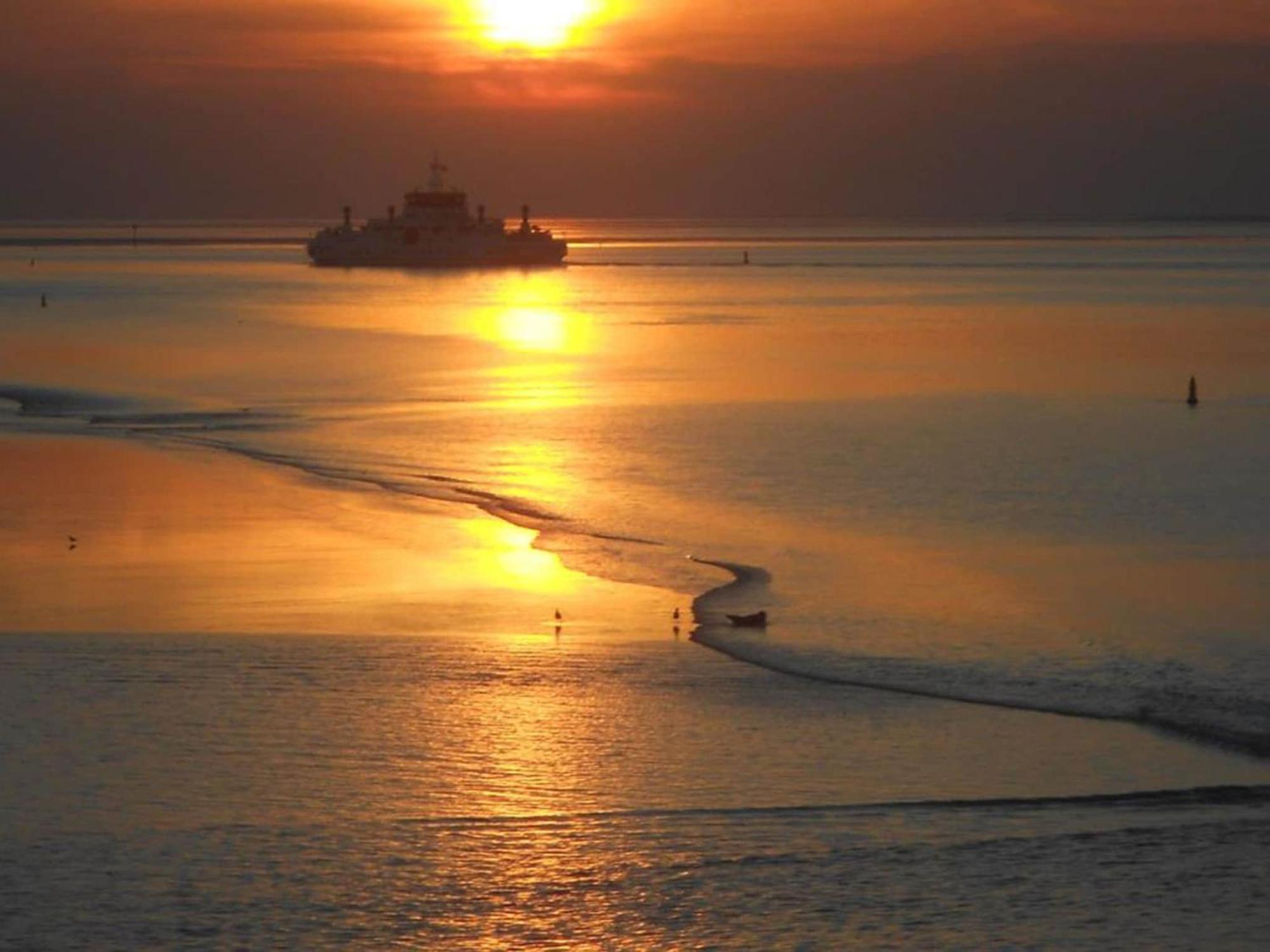 Fantastic Luxury Vacation Home And Next To The Wadden Sea Paesens Zewnętrze zdjęcie