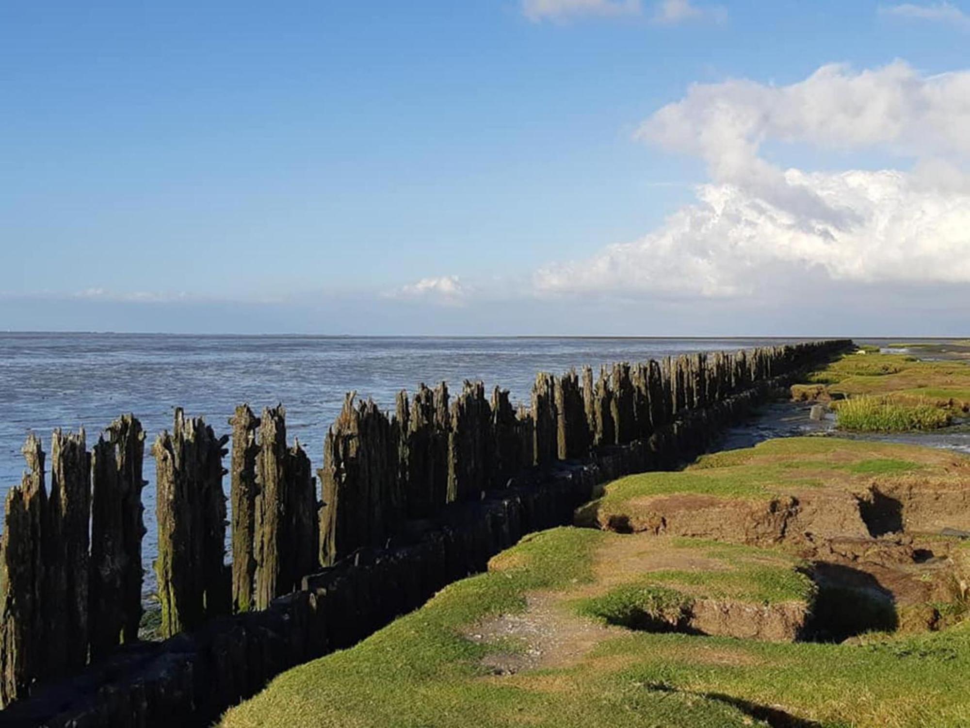 Fantastic Luxury Vacation Home And Next To The Wadden Sea Paesens Zewnętrze zdjęcie
